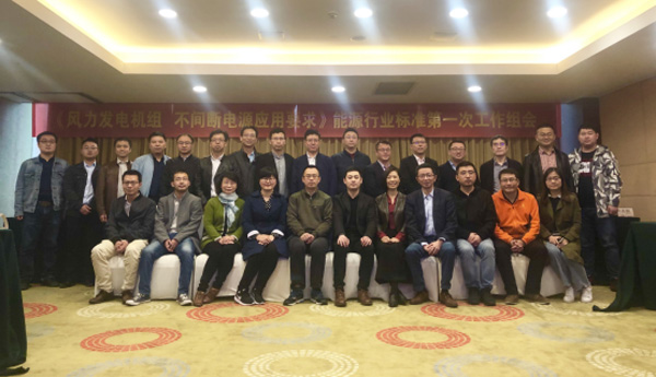 008PG国际风电主持体例的首个能源行业标准启动会在杭召开