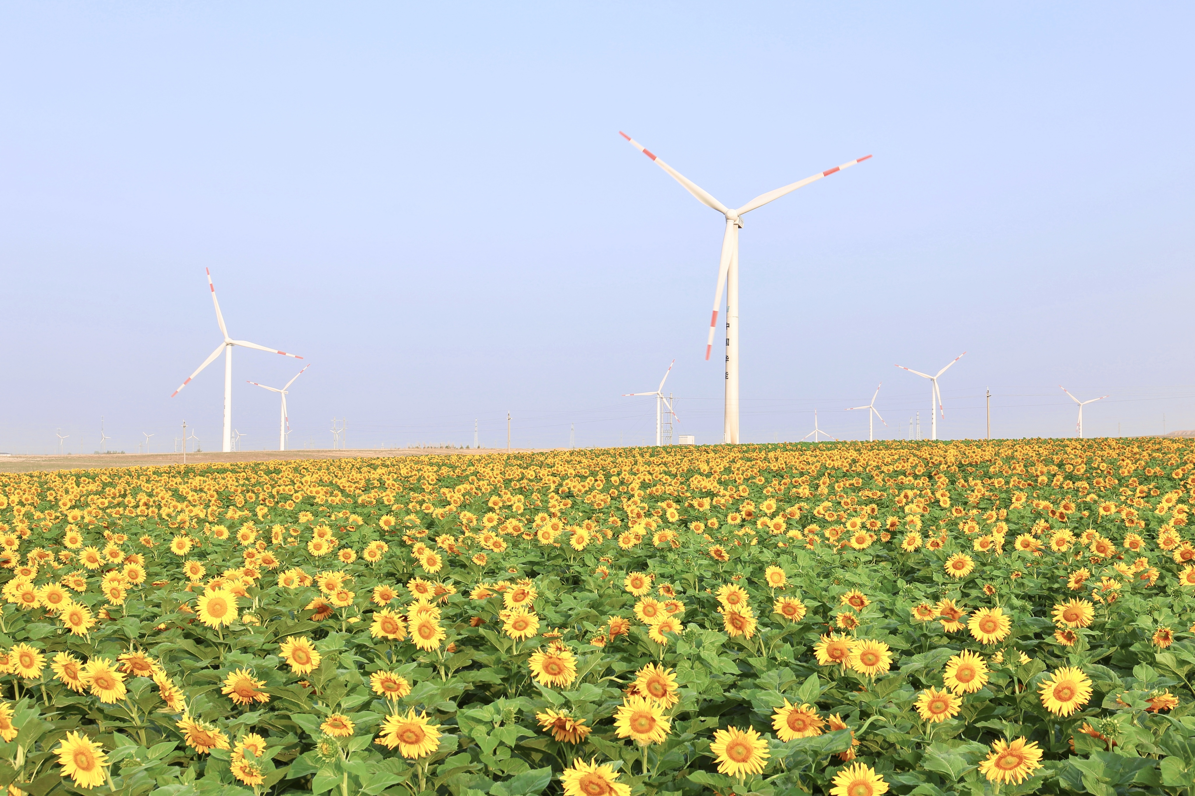 008PG国际(中国区)-官方网站