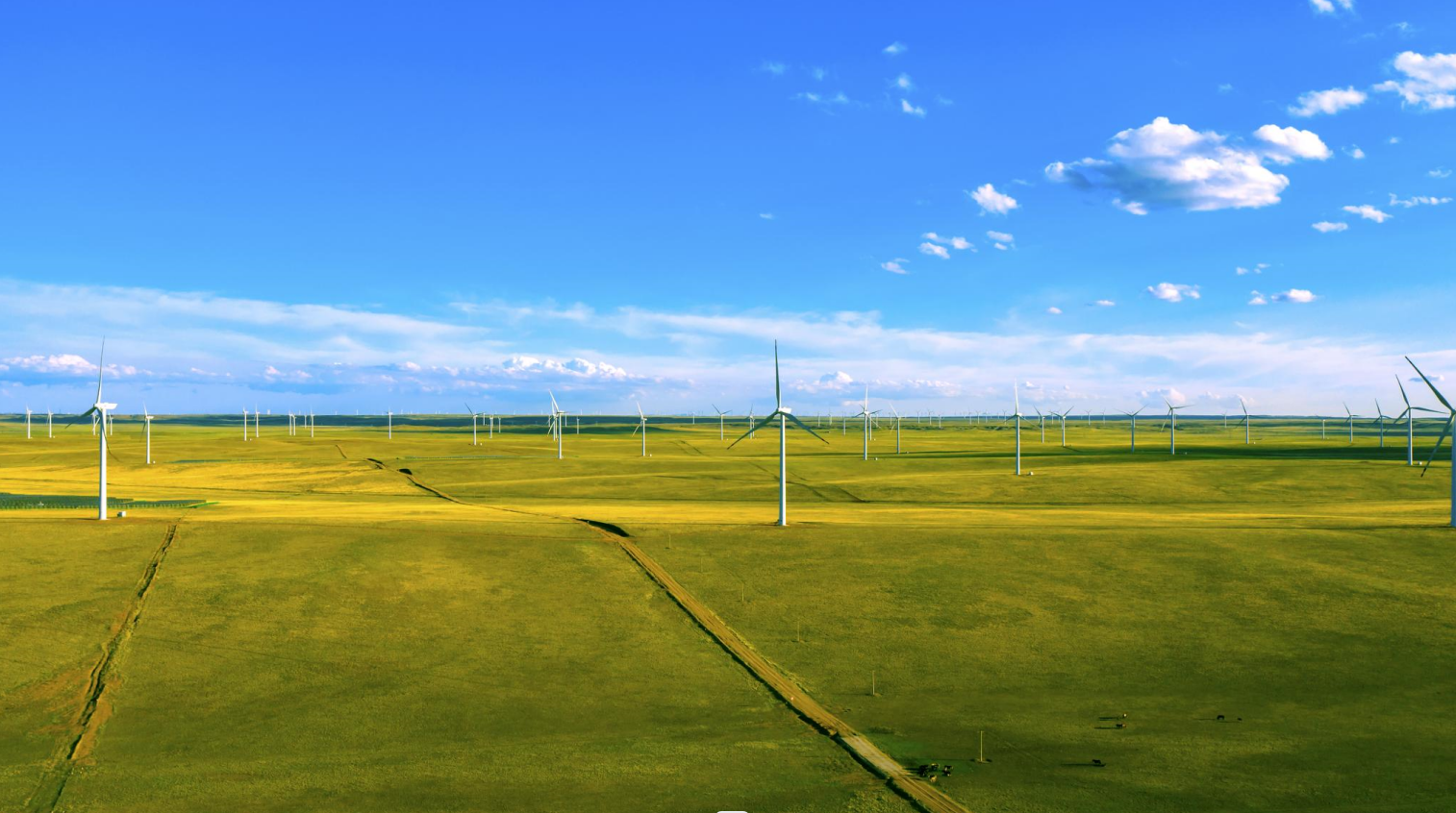 【CWP看点速“达”】新生长、新场景、新模式、新继承，，，看008PG国际如作甚零碳未来提质加速