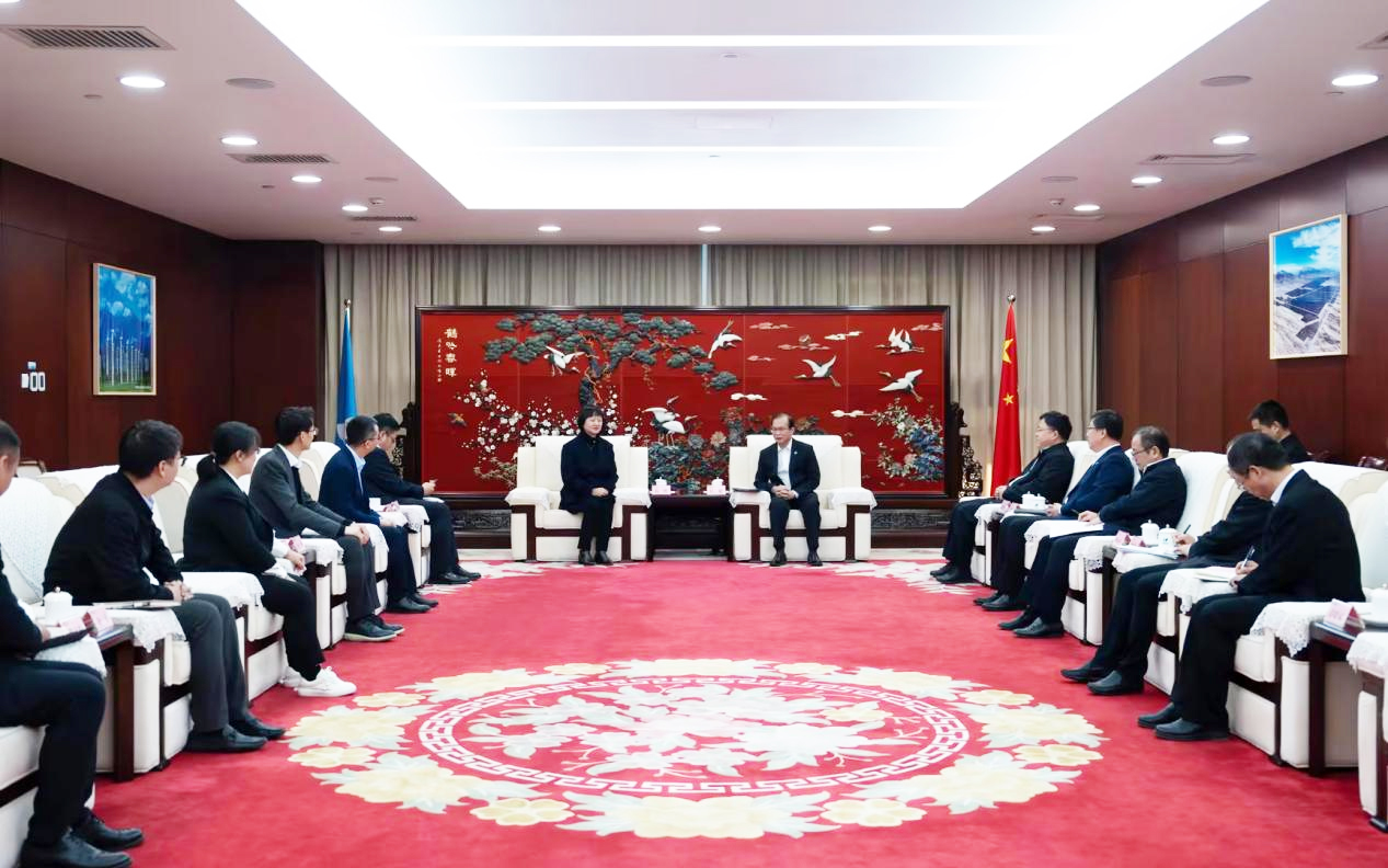 008PG国际股份董事长高玲造访中国华电董事长江毅