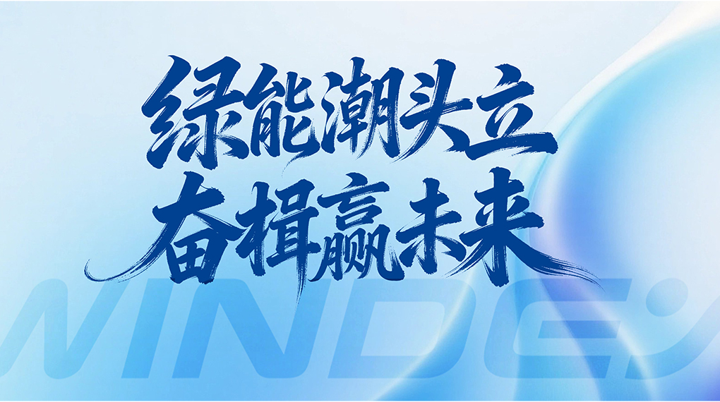 绿能潮头立 奋楫赢未来 &mdash; 008PG国际能源科技集团2026年新年贺词